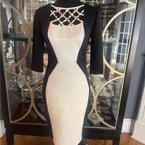 Jax Elegant Black and White Long Sleeve Dress